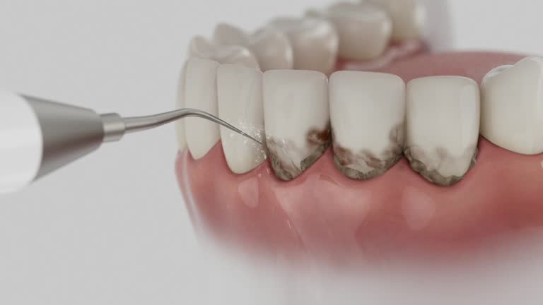Reliable Dental contractor in Novato, CA by Dentist Open Now